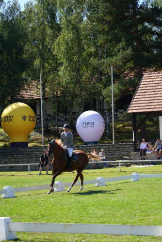 R6 65849